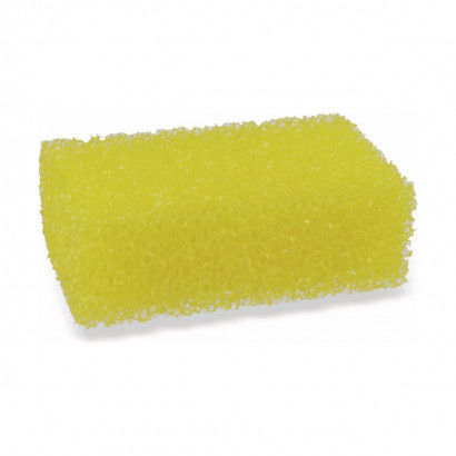 Sponge Dunlop Insect cleaner